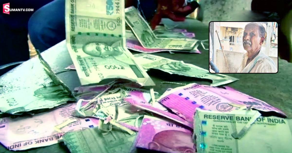 కష్టపడి సంపాదించిన లక్షలు.. చెద పాలయ్యింది!