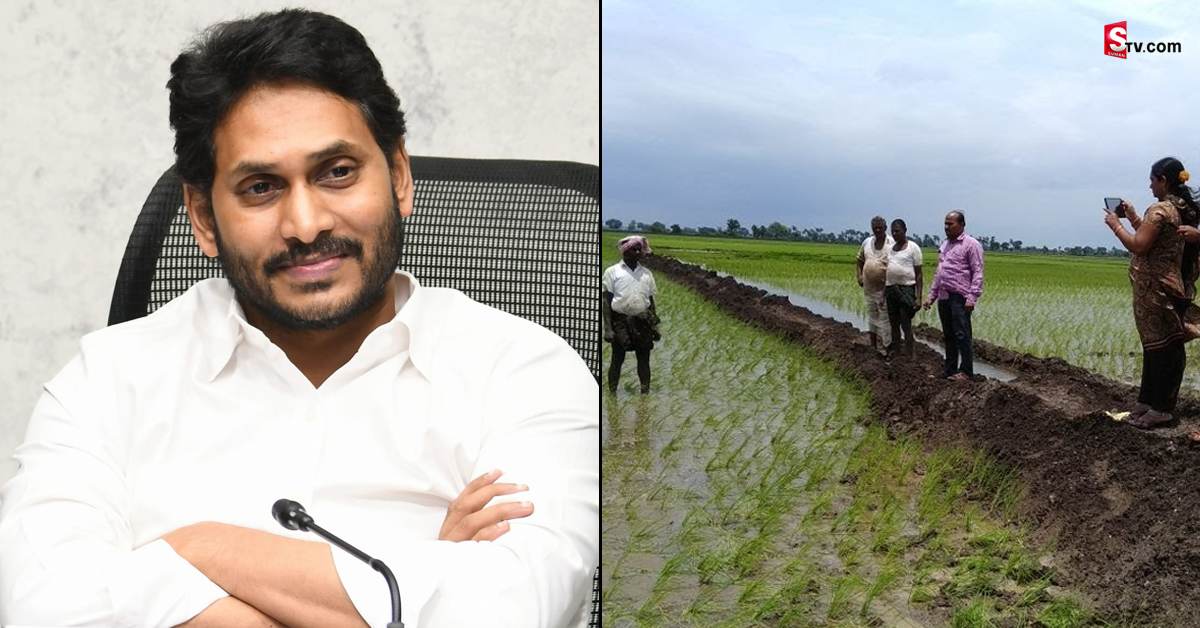 E-Crop: దేశమంతటా ఈ-క్రాప్‌ అమలుకు కేంద్రం సన్నాహాలు! సీఎం జగన్ ఆలోచనే ఆదర్శంగా!