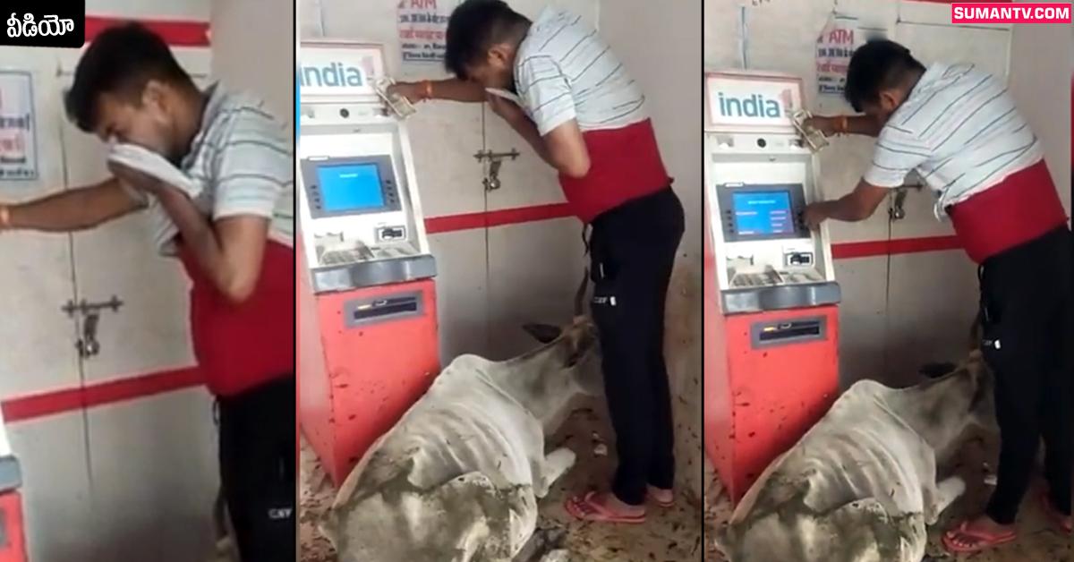 Viral Video: వైరల్‌ వీడియో: ATM సెంటర్‌ను కబ్జా చేసిన ఆవు.. బందుల దొడ్డిగా మార్చేసింది!