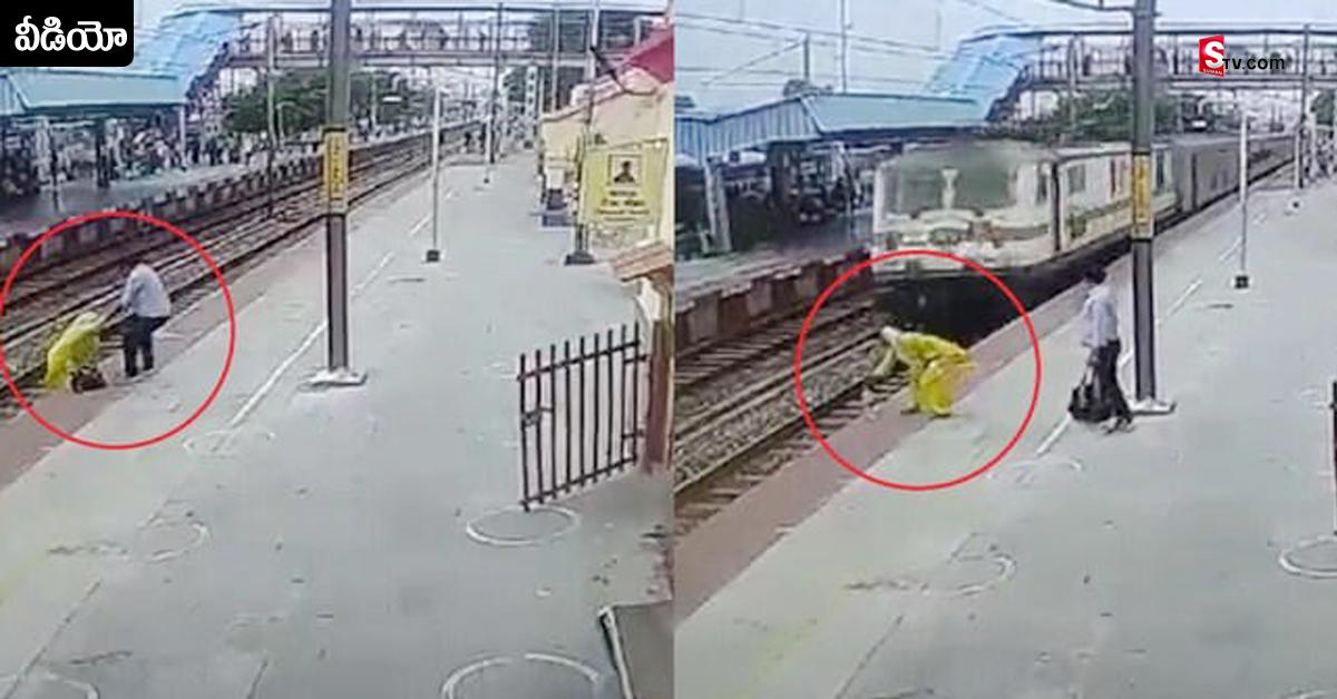 Viral Video: వైరల్‌ వీడియో: కష్టపడి కాపాడితే మళ్లీ చావుకు ఎదురెళ్లింది..
