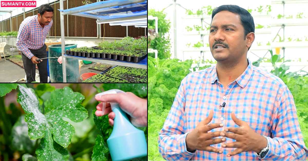 మట్టితో పని లేకుండా వ్యవసాయం.. లక్షలు సంపాదిస్తున్న హైదరాబాద్ రైతు!