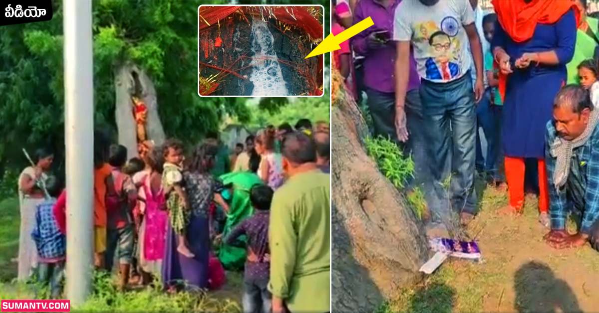 Viral Video: వీడియో: వేప చెట్టునుంచి లీటర్ల కొద్ది కారుతున్న పాలు!