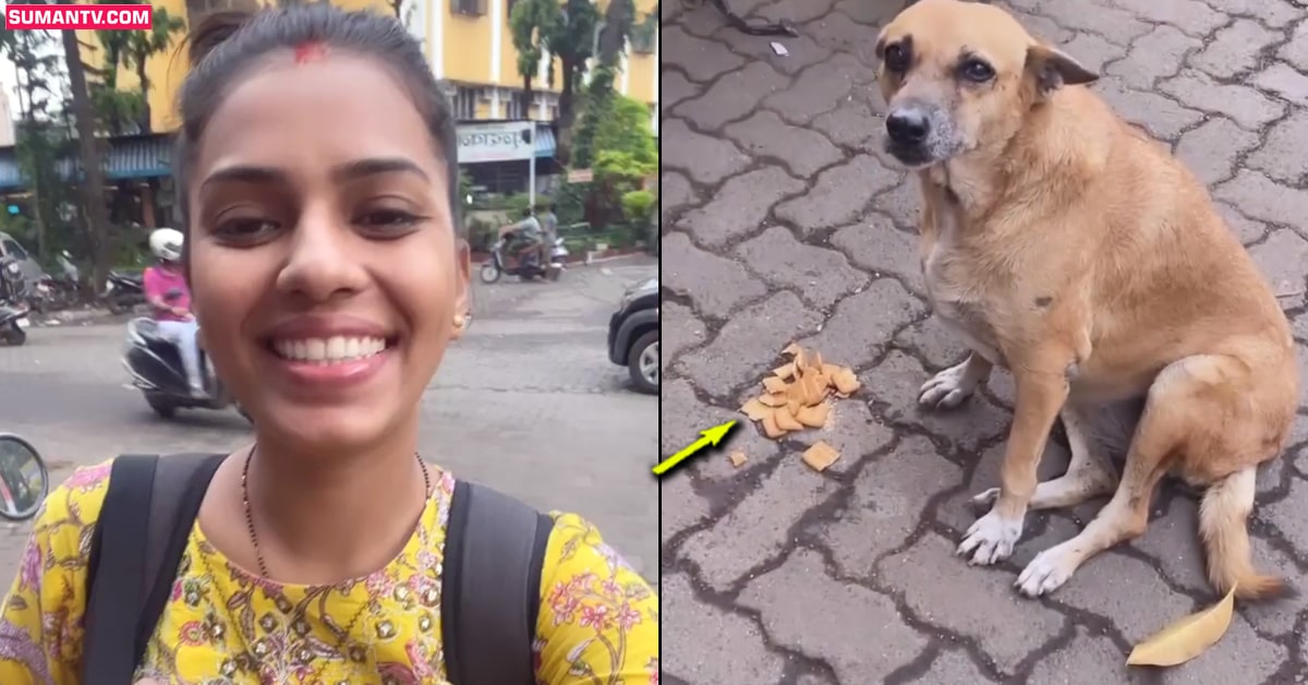 Viral Video: ఆ వీధి కుక్క అన్నం పెట్టిన విశ్వాసం మర్చిపోలేదు.. రెండేళ్ల తర్వాత కూడా యువతిని గుర్తుపట్టి..