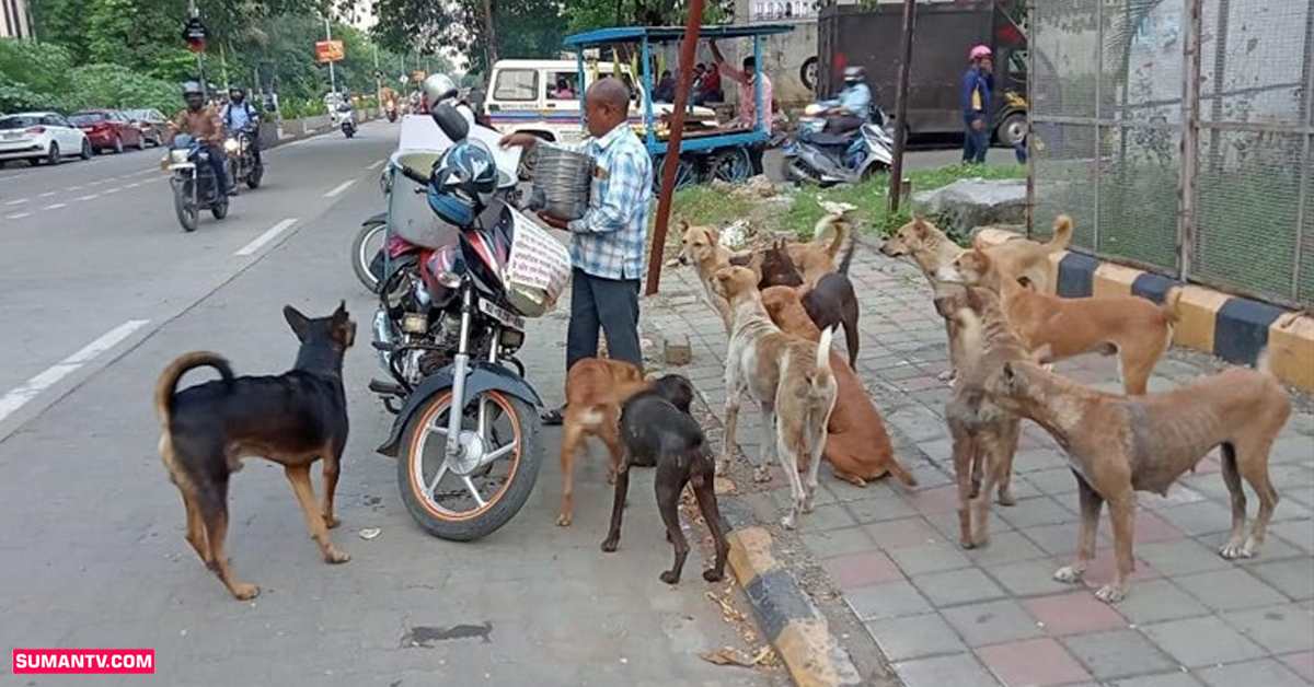 వీధి కుక్కలకు బయట తిండి పెడితే జరిమానా! దత్తత తీసుకోవాలంటూ కోర్టు తీర్పు..