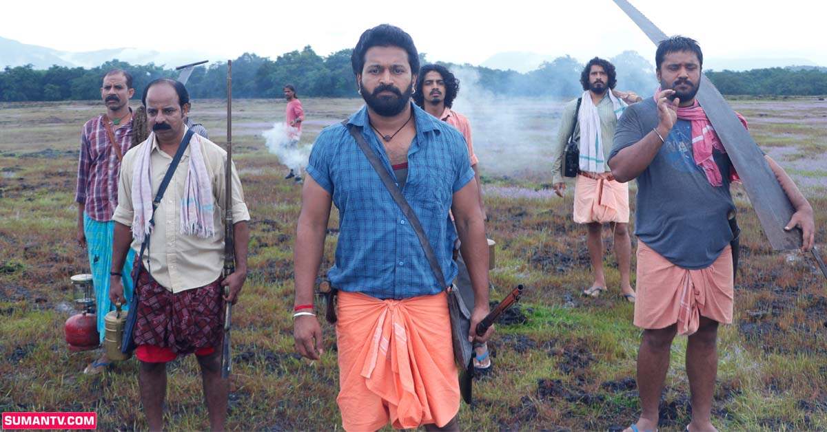 సంచలనం సృష్టిస్తున్న కాంతార! తెలుగులో ఊహించని కలెక్షన్లు