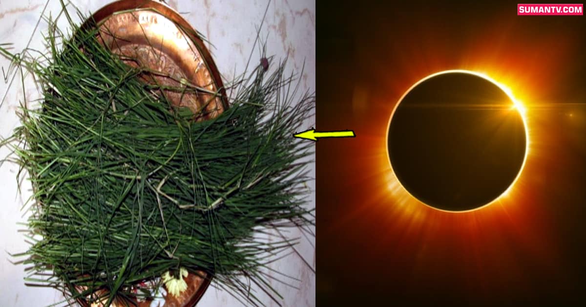 Solar Eclipse: గ్రహణ సమయంలో నీరు, ఆహారపదార్థాలన్నింటి  మీద గరిక ఎందుకు వేస్తారంటే!