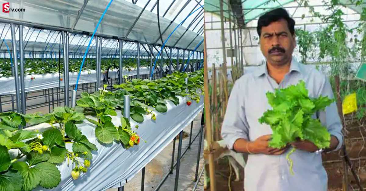ఎకరం భూమి ఉందా? ప్రభుత్వ సాయంతో  నెలకు లక్షల్లో ఆదాయం!