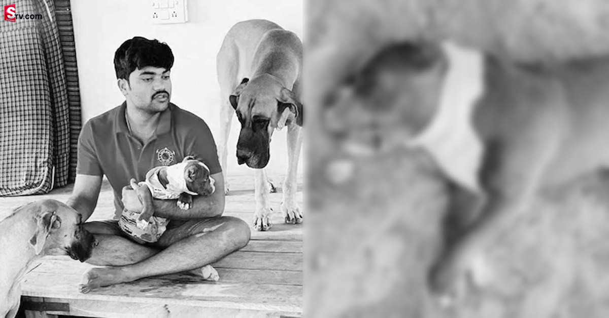 యజమాని కోసం ప్రాణాలకు తెగించి పాముతో పోరాడిన శునకం.. చివరికి..