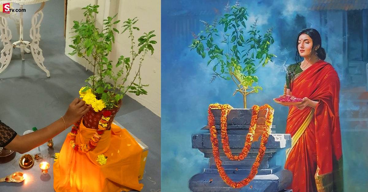 నవంబర్ 5 ద్వాదశి తిథి! ఈరోజు తులసి మొక్కకి ఇలా పూజ చేస్తే సిరి సంపదలు ఖాయం!