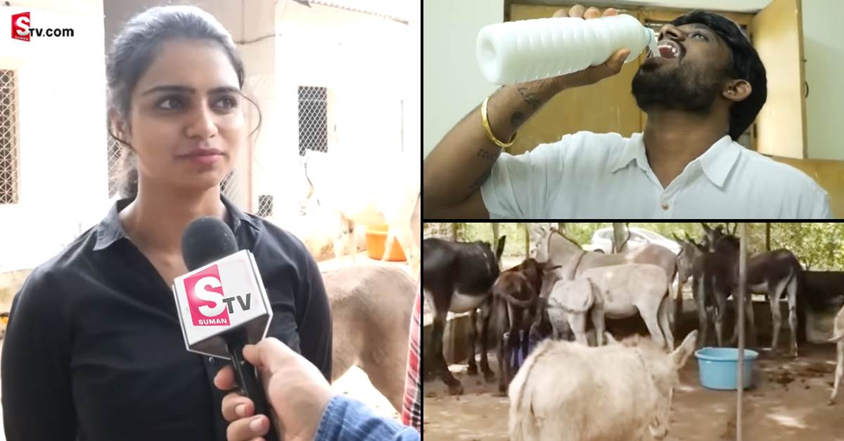 ఆంధ్రప్రదేశ్: గాడిద పాలతో వ్యాపారం చేస్తున్న సాఫ్ట్‌వేర్ ఇంజనీర్లు