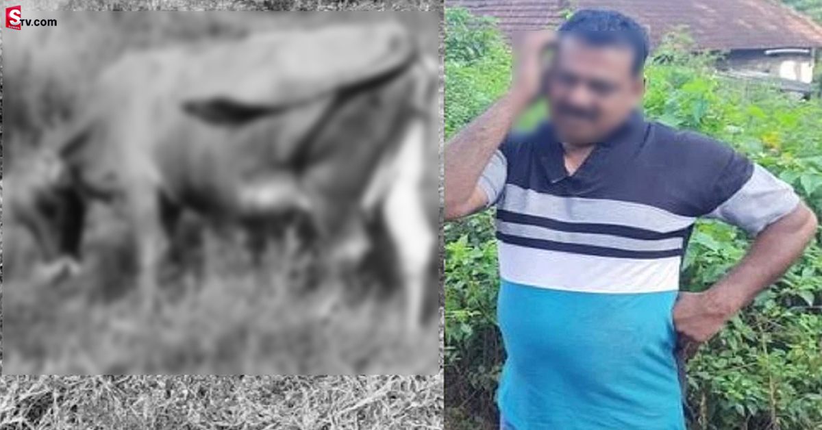 గర్భంతో ఉన్న ఆవుతో 40 ఏళ్ల వ్యక్తి పాడు పని..