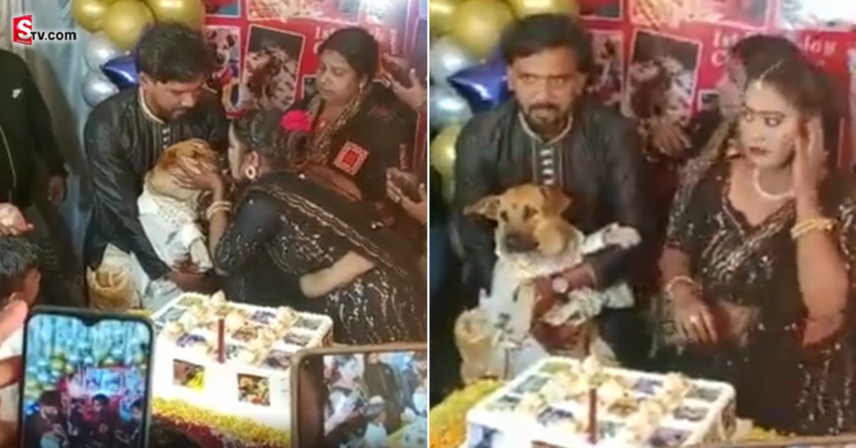 పెంపుడు కుక్కకు ఘనంగా పుట్టిన రోజు వేడుక.. హాజరైన బంధువులు! వీడియో వైరల్!