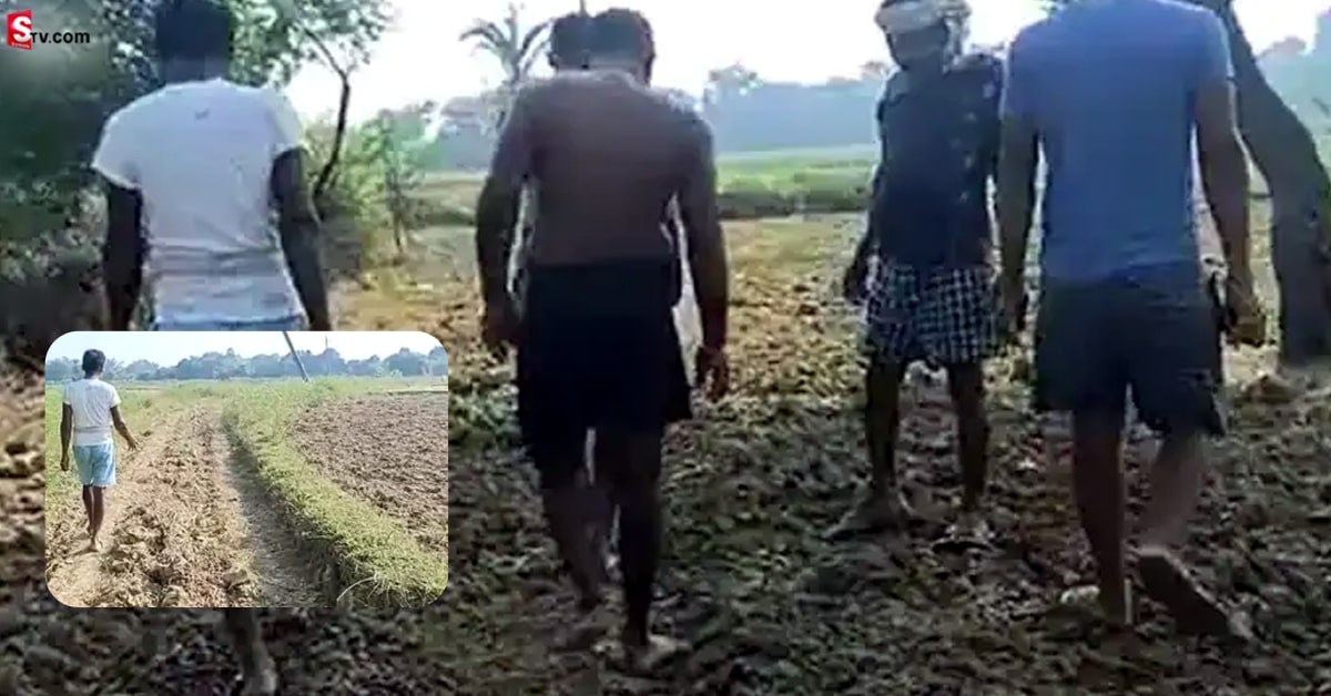 వీడియో: ఊళ్లో దొంగలు పడ్డారు.. రోడ్డును ఎత్తుకెళ్లారు!