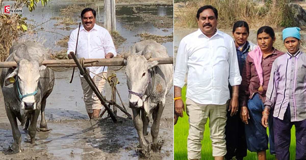 వీడియో: నాగలి పట్టి పొలం దున్నిన మంత్రి ఎర్రబెల్లి దయాకర్ రావు!