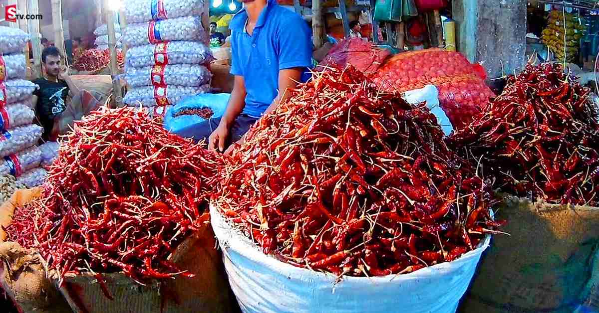 సంక్రాంతి ముందు మిర్చి రైతులపై కనక వర్షం! ఊహించని ధర!