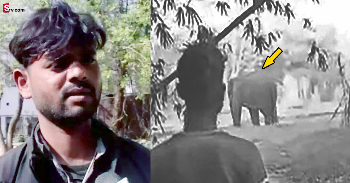 గ్రామాల్లోకి చొరబడి మనుషుల్ని చంపుతున్న ఏనుగు.. భ‌యం గుప్పిట్లో ప్ర‌జ‌లు!