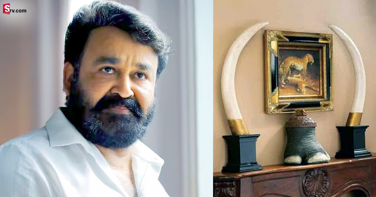 ఏనుగు దంతాల కేసులో మోహన్ లాల్ కి  చుక్కెదురు!