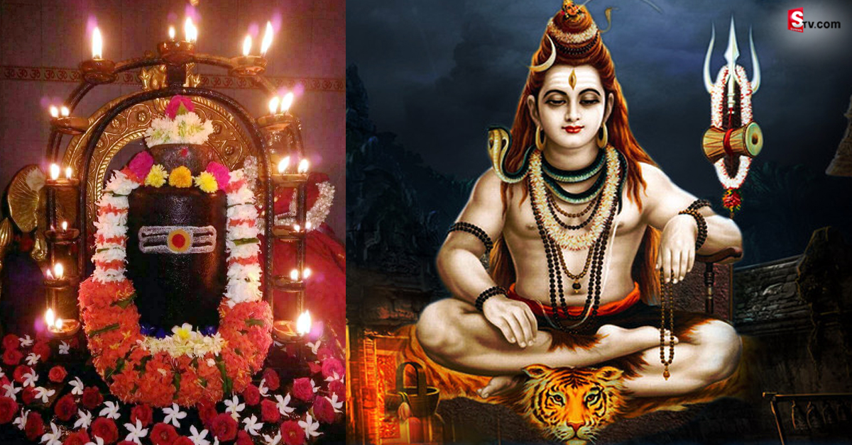 శివుడ్ని ఏ పూలతో పూజించాలి? ఏ పూలతో పూజ చేస్తే ఏ ఫలితాలు ఉంటాయి?
