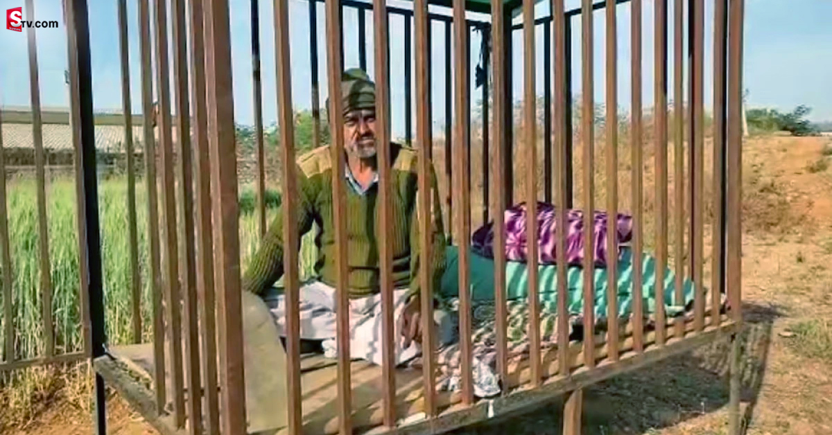 పులులకు భయపడి బోనులో బతుకుతున్న రైతు