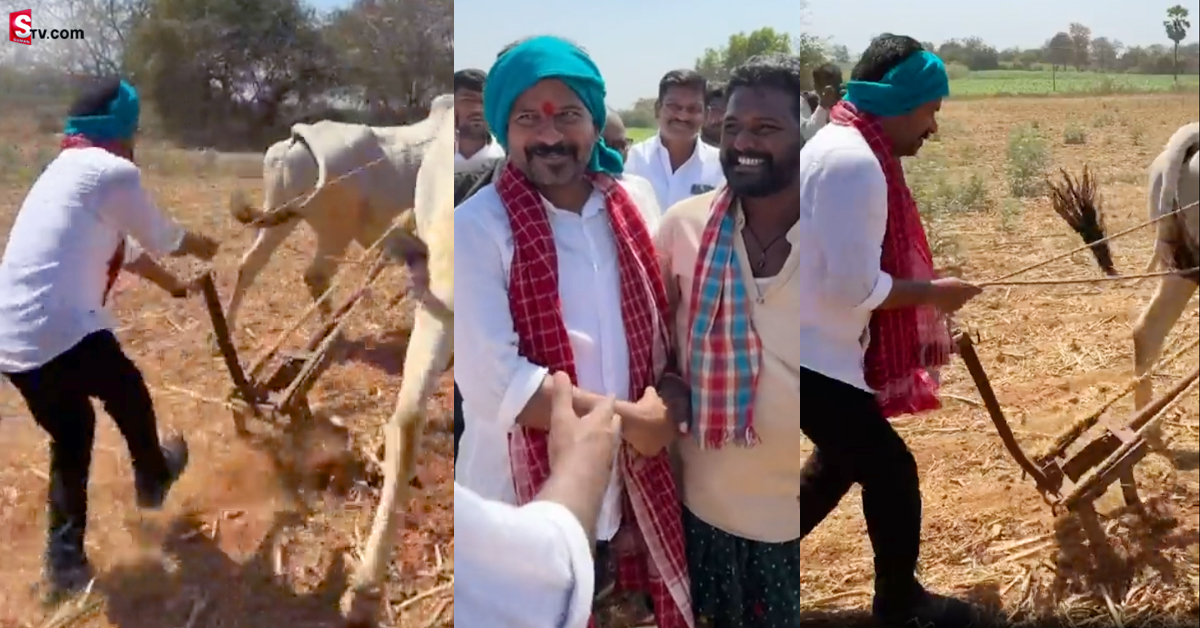 అరక దున్నుతున్న రేవంత్ రెడ్డి.. వీడియో వైరల్!