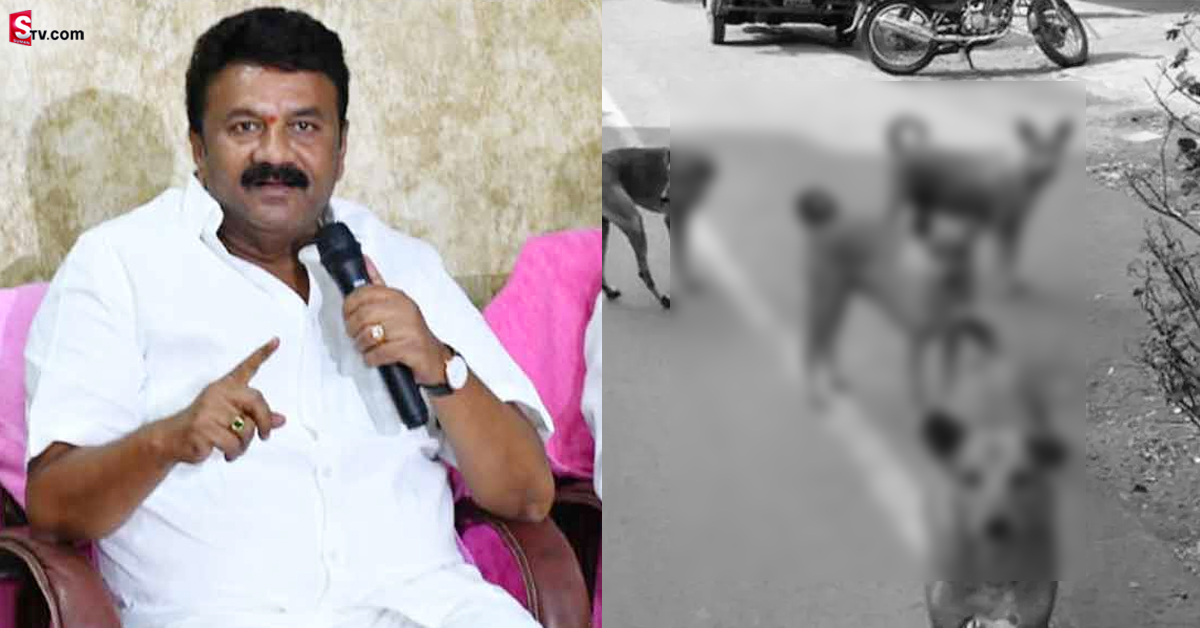మాంసం వ్యర్థాలతో అలా చేస్తే కఠిన శిక్ష!