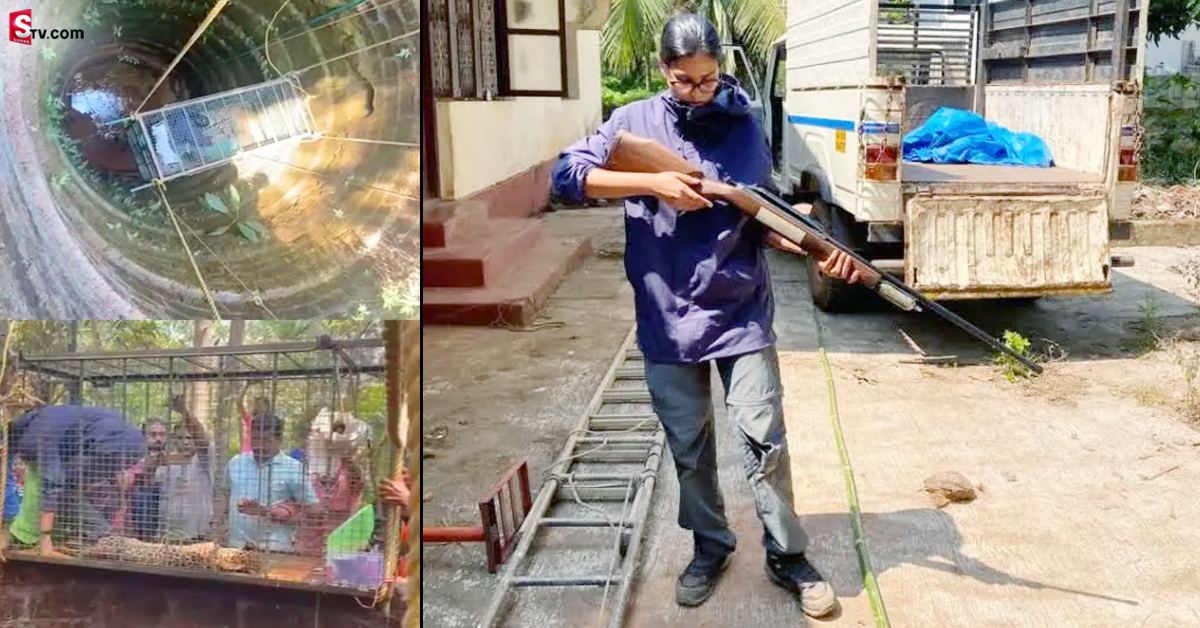 బావిలో పడ్డ చిరుత.. కాపాడిన మహిళా డాక్టర్!