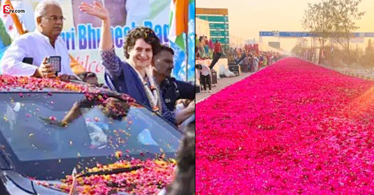 ప్రియాంకకు ఘన స్వాగతం.. 6 టన్నుల గులాబీలతో బాట