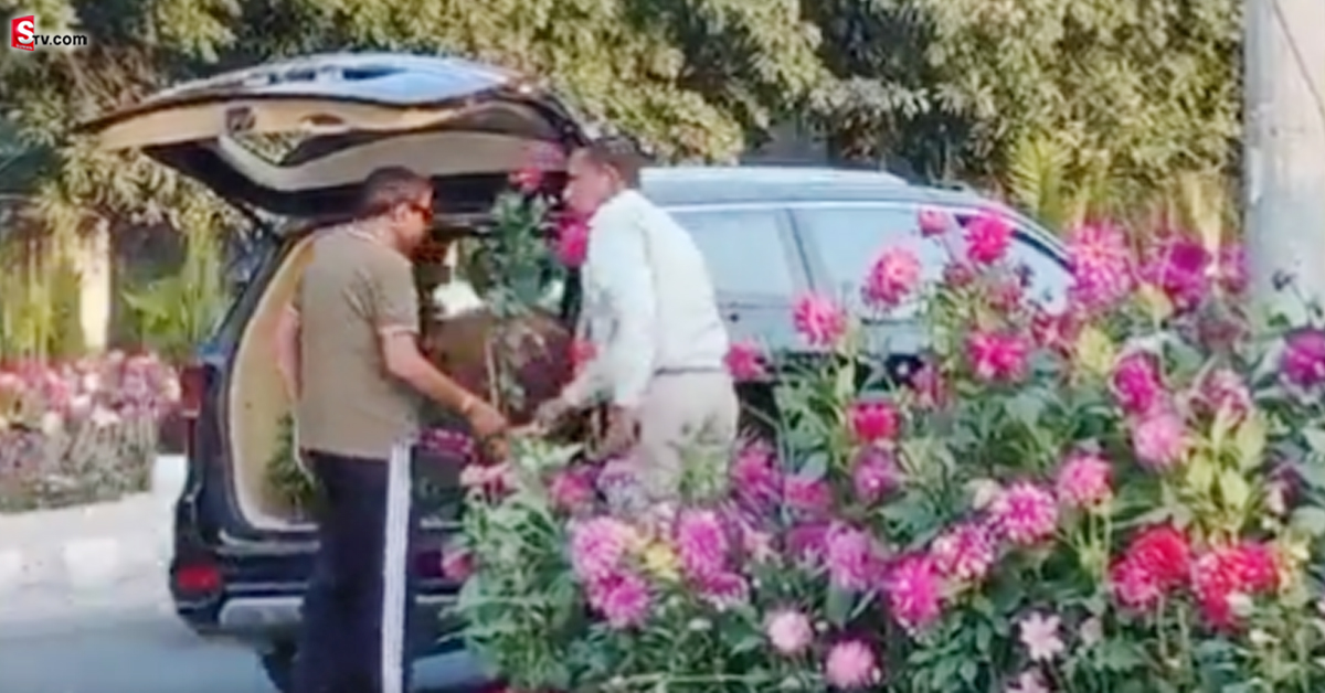 ఇదేం కక్కుర్తి.. రూ.40 లక్షల కారులో వచ్చి పూలకుండీలు ఎత్తుకెళ్లారు!