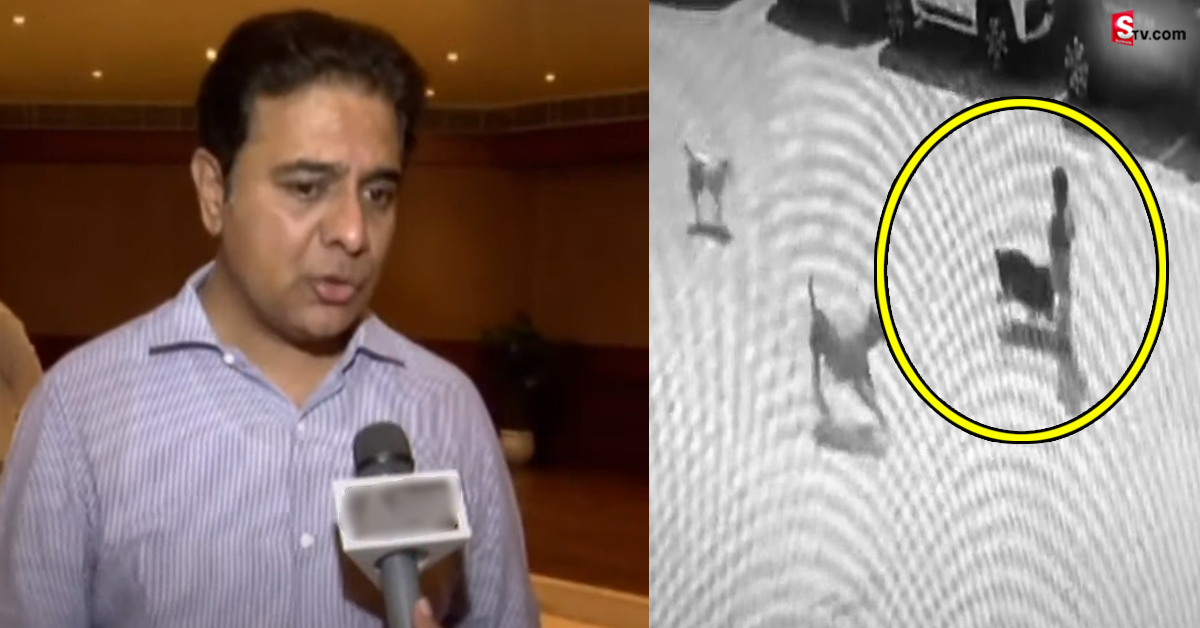 అంబర్ పేట వీధి కుక్కల దాడి ఘటనపై స్పందించిన KTR