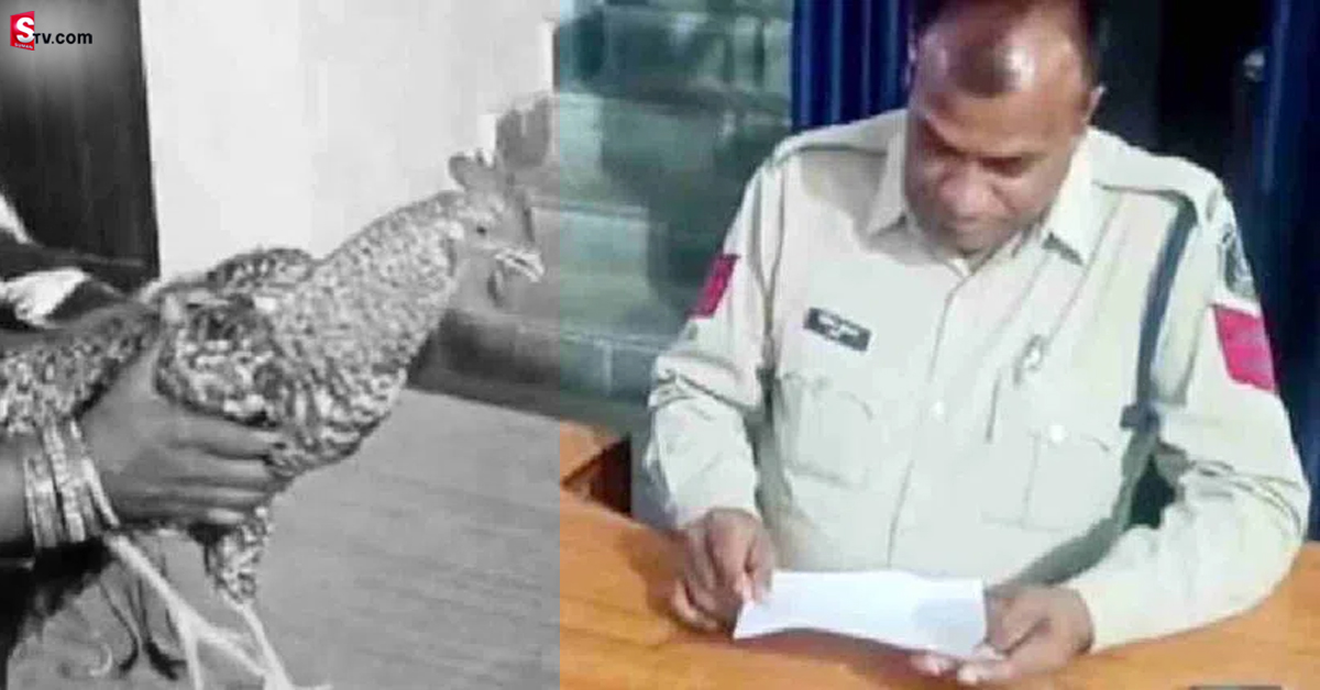 కోడితో పోలీస్ స్టేషన్ మెట్లెక్కిన మహిళ.. ఫిర్యాదు విని పోలీసులు షాక్