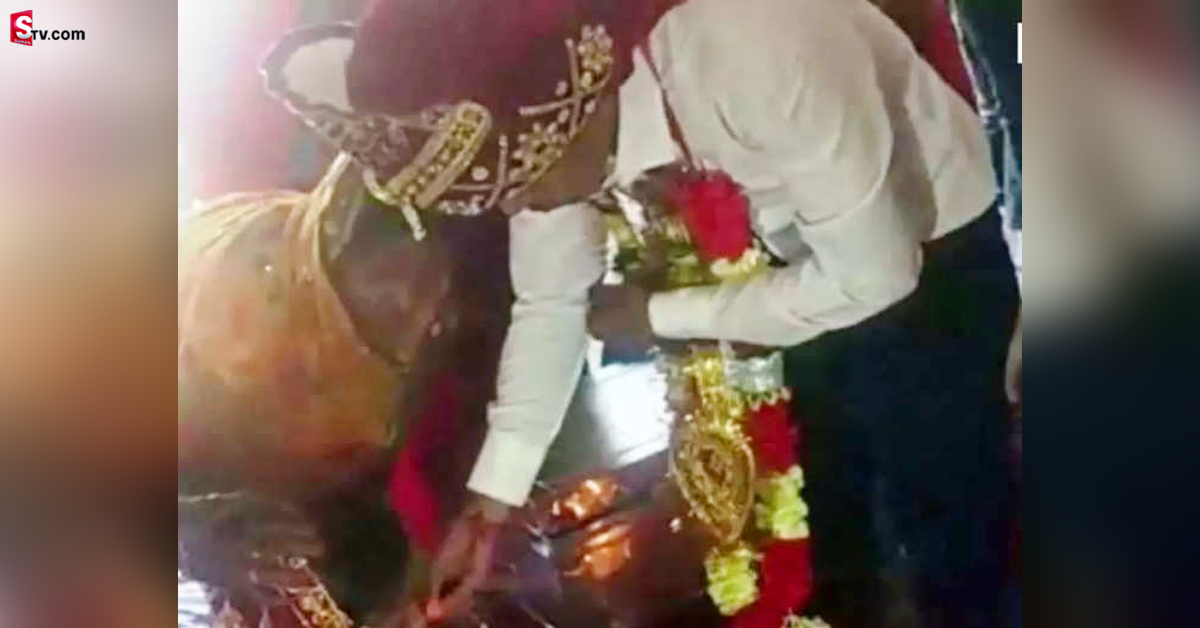 వింత పెళ్లి: 4 గంటల పెరోల్‌పై బయటకొచ్చి తాళికట్టి.. మళ్లీ జైలుకెళ్లిన యువకుడు!
