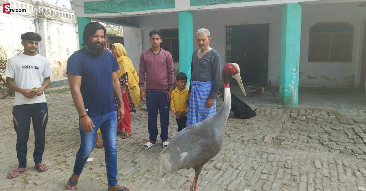కాలు విరిగి.. రక్తమోడుతూ ఉన్న కొంగ.. కాపాడిన వ్యక్తిపై కేసు..!
