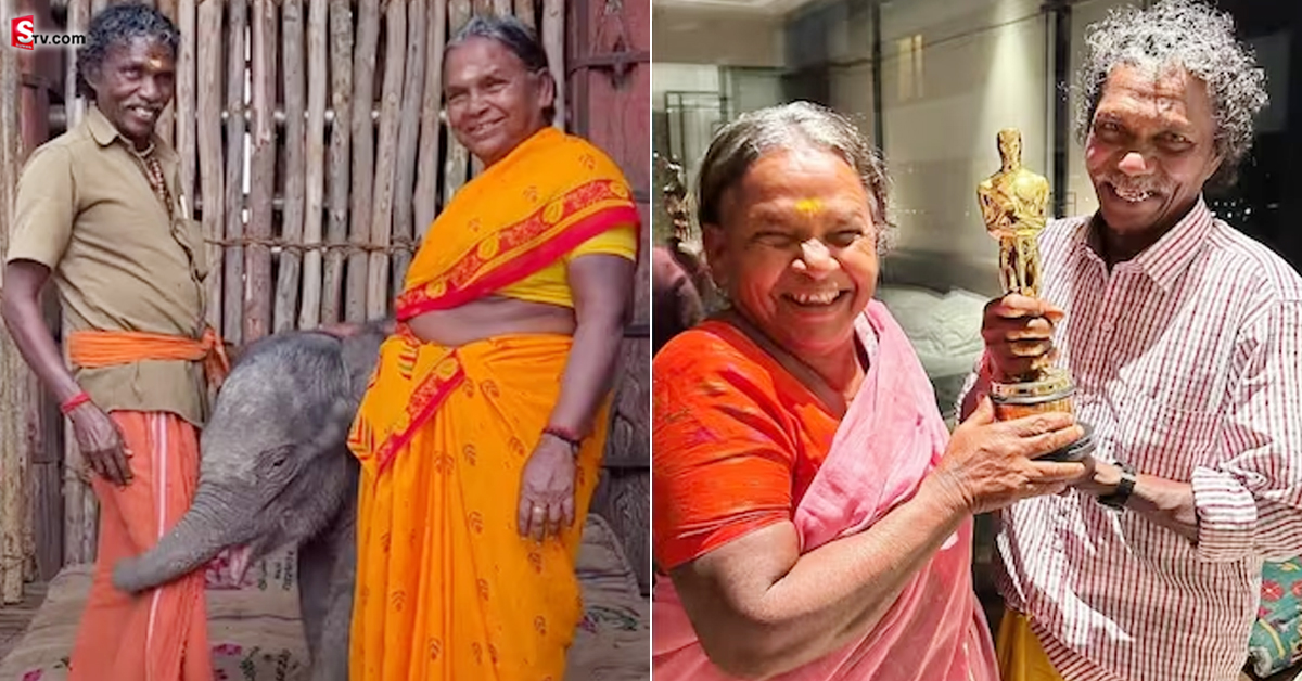 విషాదం.. ‘ఆస్కార్’ బొమ్మన్, బెల్లి దంపతుల దగ్గరున్న ఏనుగు మృతి