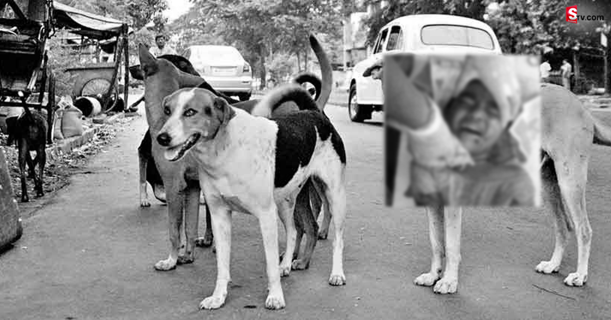 ఆగని కుక్కల స్వైరవిహారం.. నాలుగేళ్ల చిన్నారిపై దాడి!