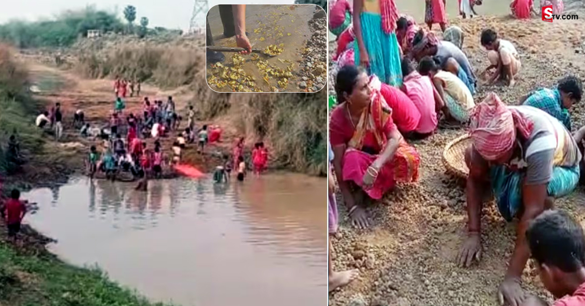ఆ గ్రామంలో అద్భుతం…నది ఒడ్డున బంగారు నాణేలు..!