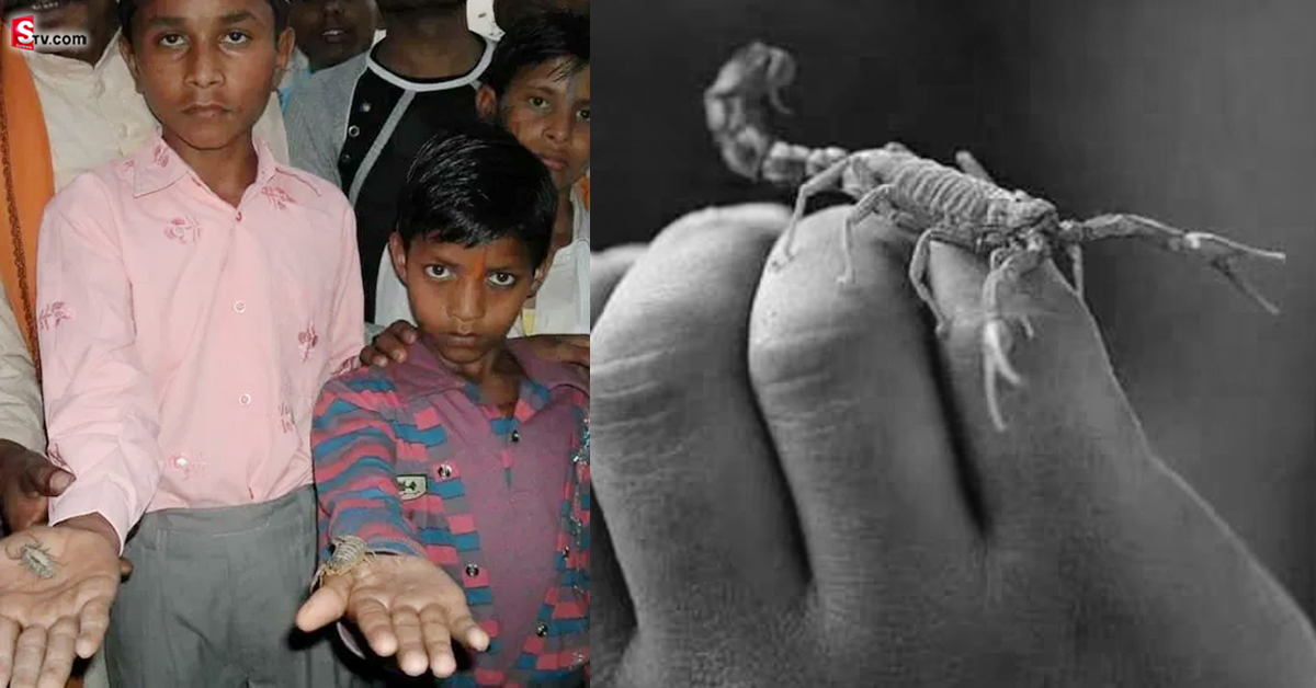 తేళ్లతో హూలీ సంబరాలు.. ఎక్కడంటే?