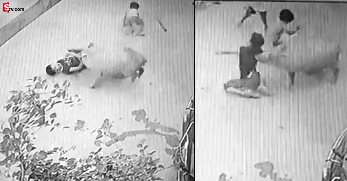 వీడియో: ఆడుకుంటున్న బాలుడిపై దాడి చేసిన పంది