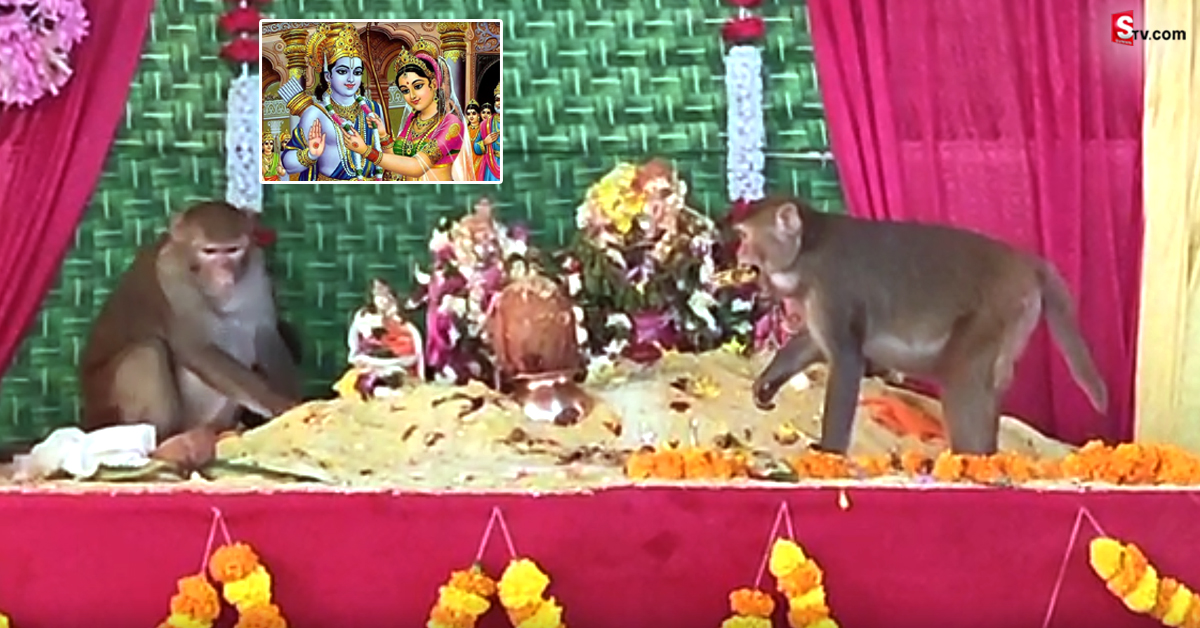 సీతారాముల కళ్యాణంలో అద్భుత దృశ్యం.. హనుమంతుని రామభక్తికి నిదర్శనం ఇదే