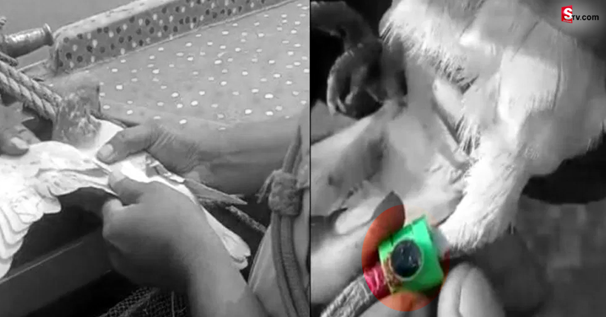 పట్టుబడిన మిస్టరీ పావురం.. కాళ్లకు కెమెరా, మైక్రో చిప్..!