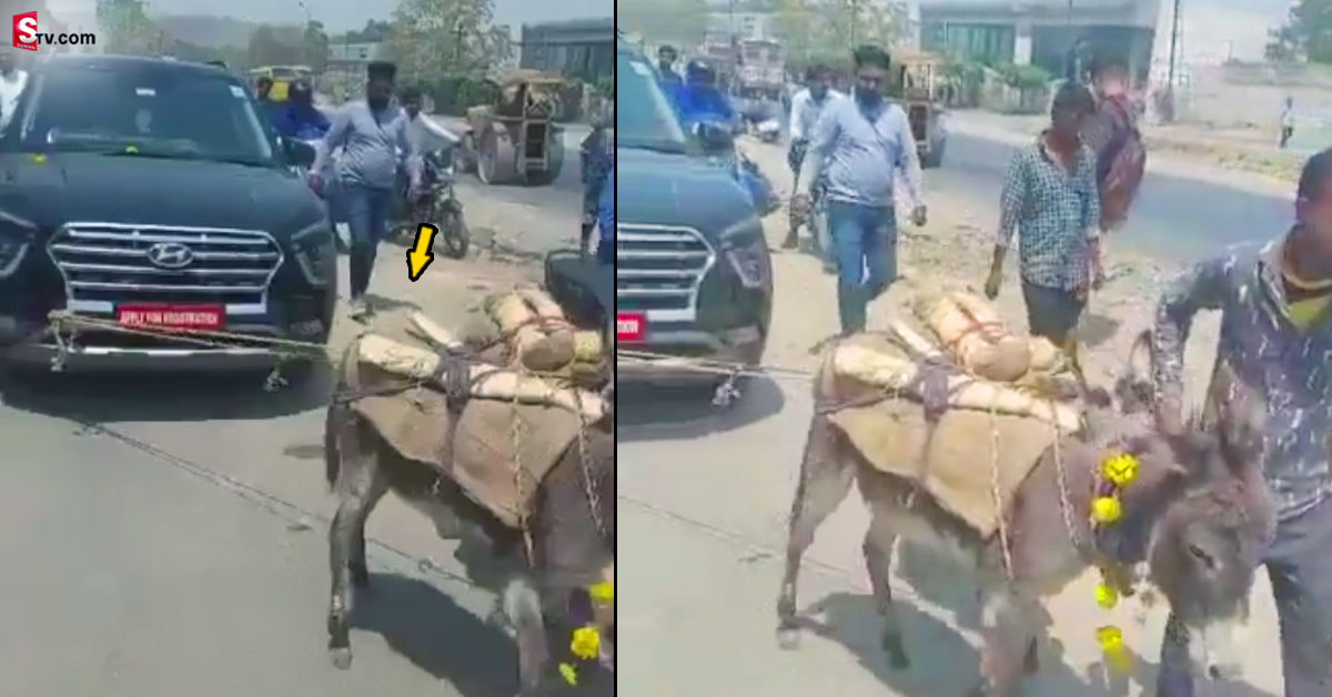 Viral video: కొత్త కారు కొన్న సంతోషమే లేదు.. కొన్న నెలకే గాడిదలతో..!