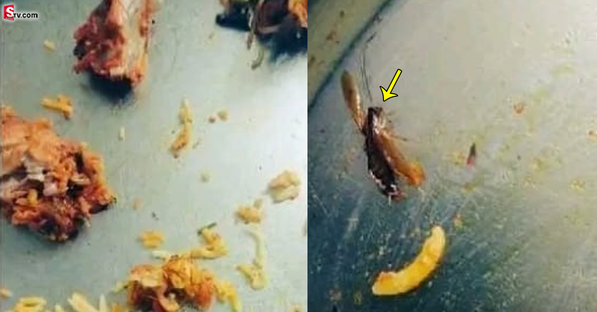 Biryani: ఆర్డర్ చేసిన బిర్యానీలో.. బొద్దింక ప్రత్యక్షం!