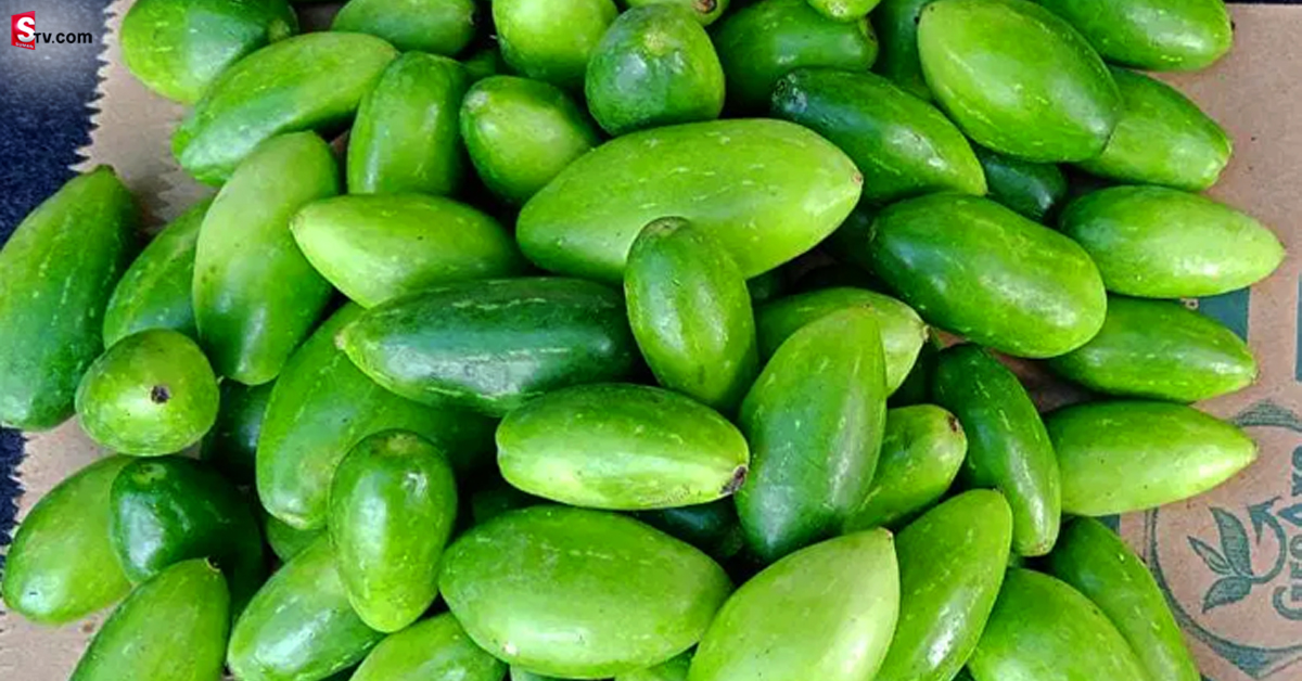కిలో దొండకాయలు రూ.900..! ఎందుకంటే..