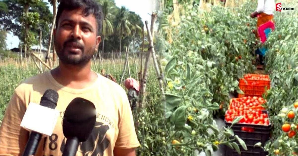 విదేశంలో లక్షల జీతం వదులుకుని స్వదేశంలో రైతుగా మారిన సాఫ్ట్‌వేర్‌
