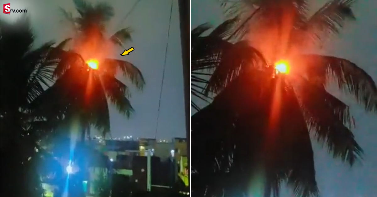 వీడియో: హైదరాబాద్‌లో భారీ వర్షం.. కొబ్బరిచెట్టుపై పడ్డ పిడుగు!