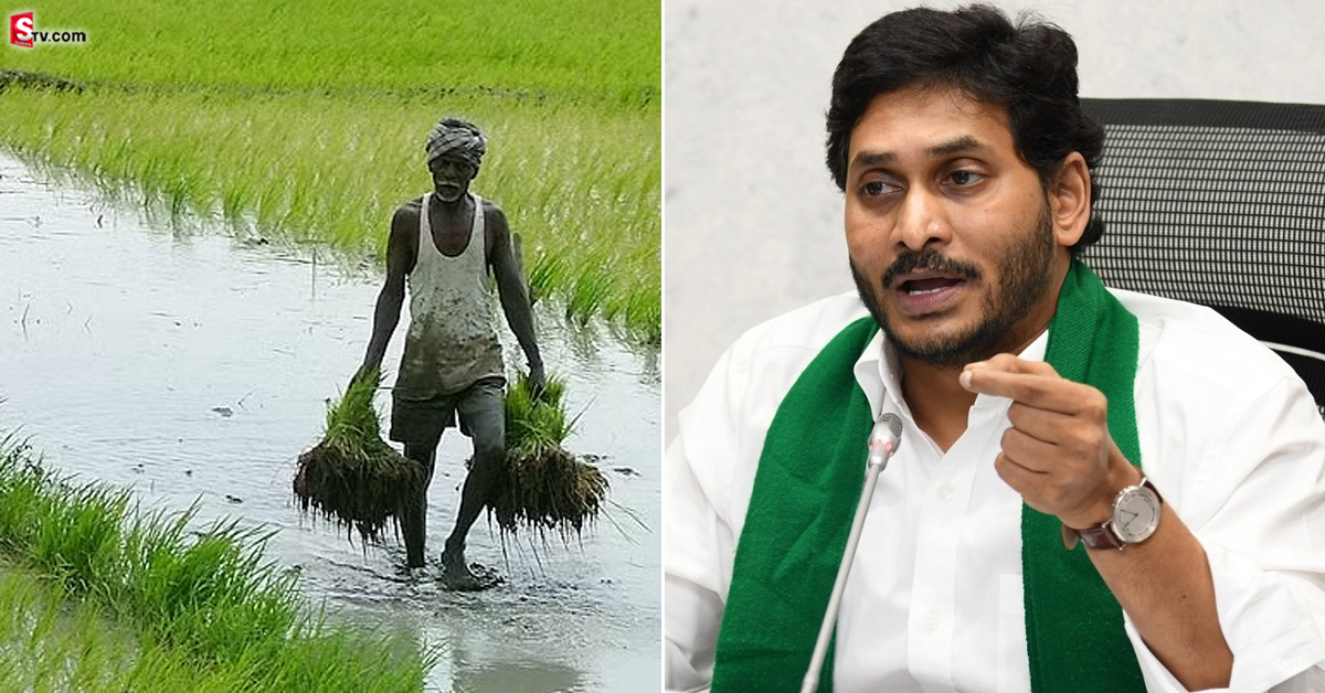 AP Government: రైతులకు శుభవార్త చెప్పిన AP ప్రభుత్వం!