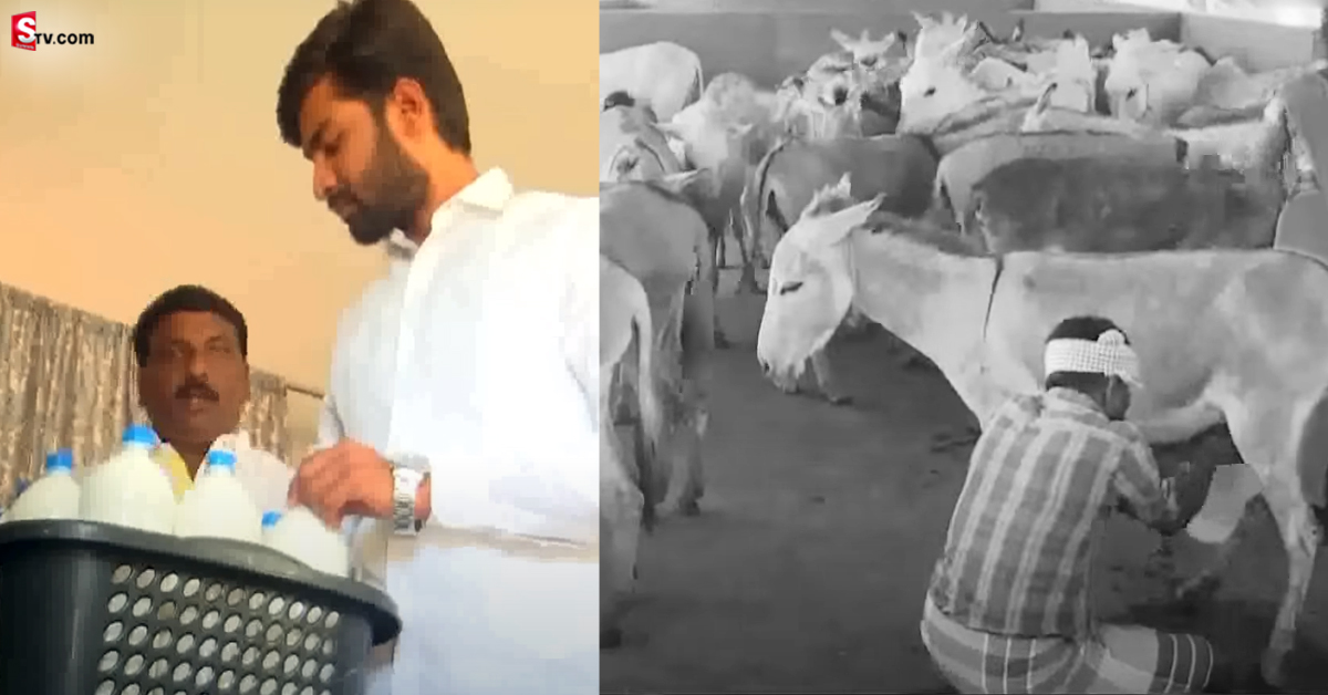 గాడిదలు కాస్తూ లక్షల్లో ఆదాయాన్ని ఆర్జిస్తున్నాడు! ఎలా అంటే?