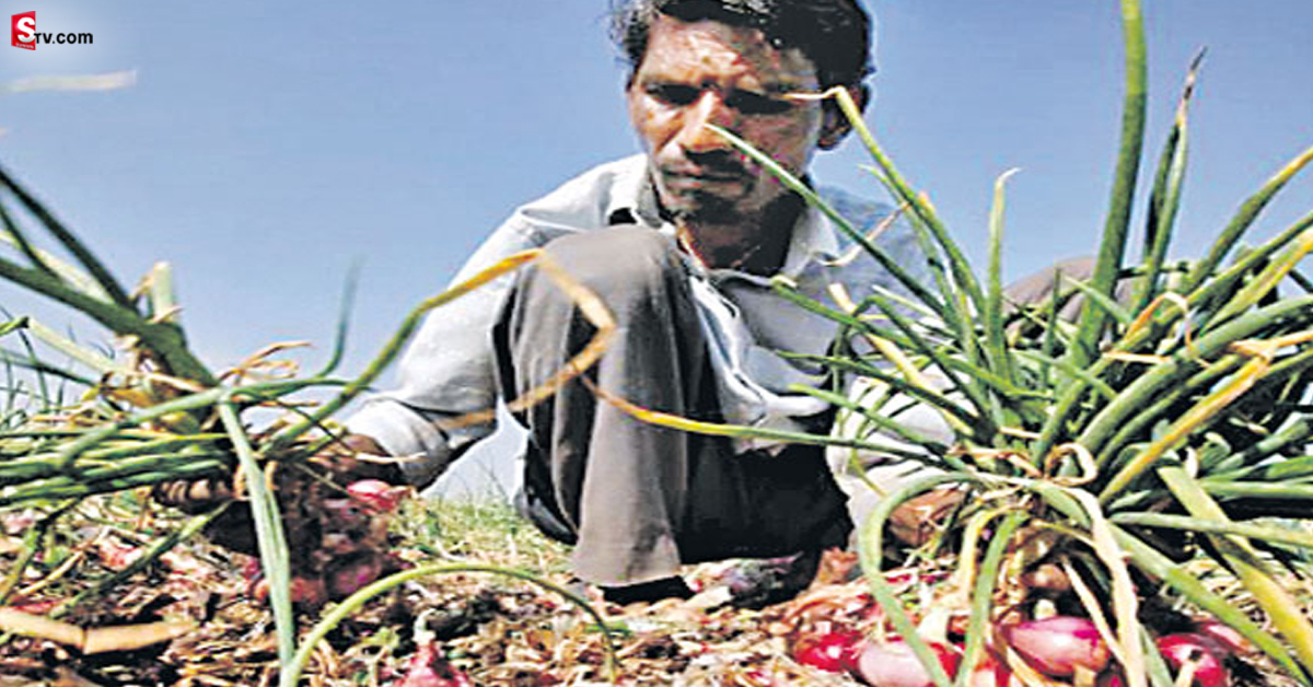Parasites: వింత: ఆ పొలాల్లోకి దిగిన రైతుల కళ్లలో పురుగులు-గుడ్లు! డాక్టర్స్ షాక్!