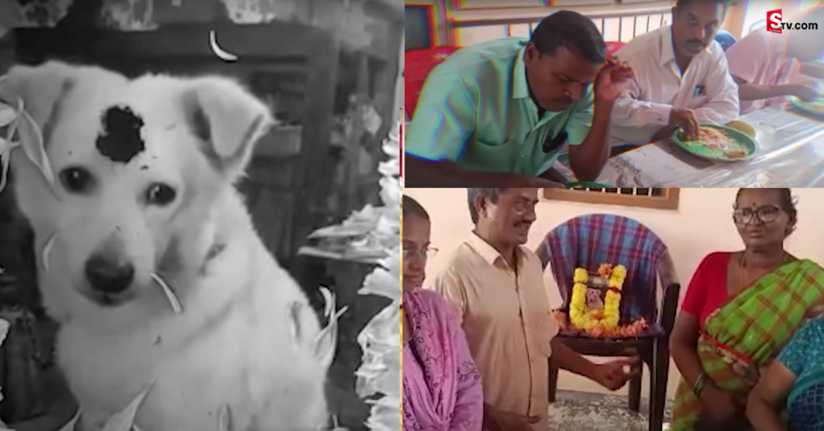 శునకంపై ప్రేమను చాటుకున్న కుటుంబం.. ఊరూ, వాడను పిలిచి