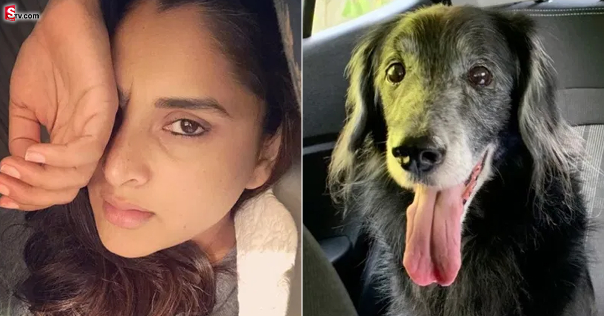 ప్రముఖ హీరోయిన్‌ ఇంట్లో విషాదం.. ‘‘చాంప్‌ ఇక లేడు’’ అంటూ..