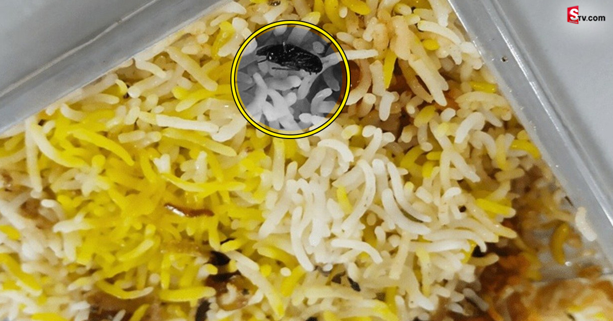 Biryani: బిర్యానీలో బొద్దింక.. రెస్టారెంట్‌కు భారీ షాక్‌ ఇచ్చిన కోర్టు!